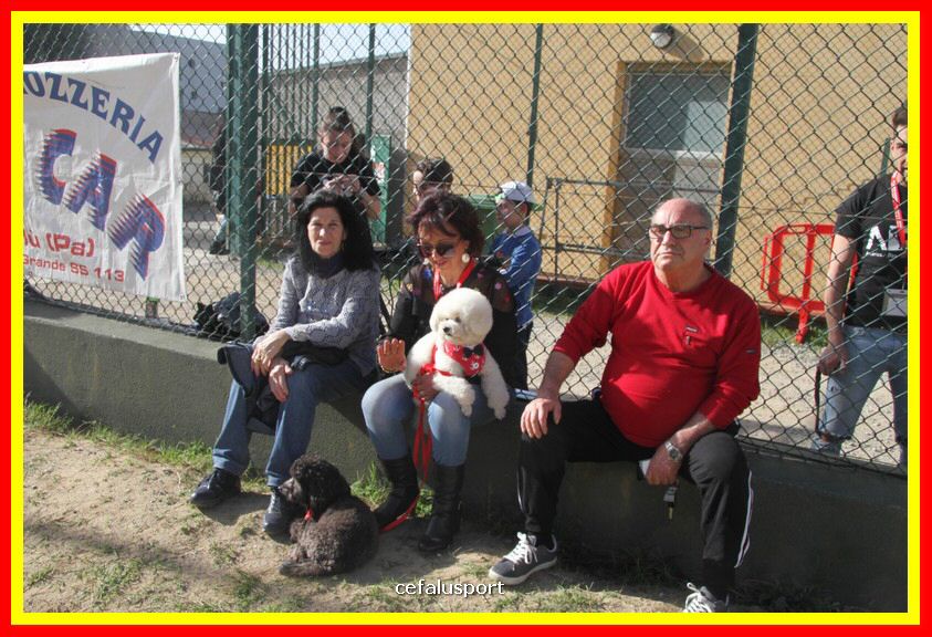 180311 mostra_canina 082.jpg